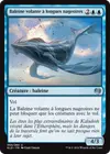 Product image for Baleine volante à longues nageoires