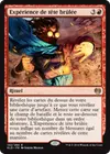 Product image for Expérience de tête brûlée