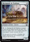 Product image for Myriapode de Prakhata