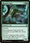 Product image for Riparian Tiger