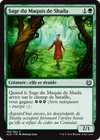 Product image for Sage du Maquis de Shaila