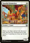 Product image for Tasseled Dromedary