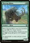Product image for Thriving Rhino