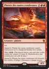 Product image for Phénix des nuées cendreuses