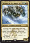 Product image for Terrocorne des avalanches