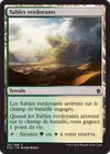 Product image for Sables verdoyants