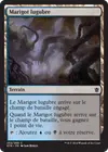 Product image for Marigot lugubre