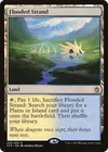 Product image for Flooded Strand