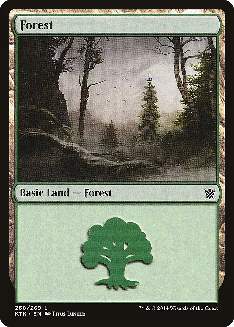 Forest — Khans of Tarkir — Magic: The Gathering