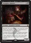 Product image for Aruspice sinistre