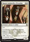 Product image for Hautes sentinelles d'Arashin