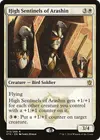 Product image for High Sentinels of Arashin