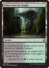 Product image for Dépression de jungle