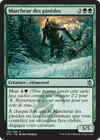 Product image for Marcheur des pinèdes