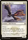 Product image for Sage-Eye Harrier
