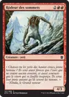 Product image for Rôdeur des sommets