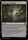 Product image for Marécage de Bojuka