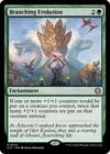 Product image for Branching Evolution
