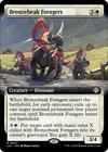 Product image for Bronzebeak Foragers