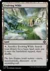 Product image for Evolving Wilds