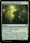 Product image for Llanowar revenue à la vie