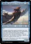 Product image for Malcolm, navigateur à l'œil perçant