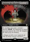 Product image for Maîtresse des rites noirs
