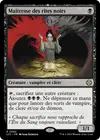 Product image for Maîtresse des rites noirs