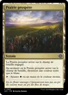 Product image for Prairie prospère