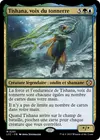 Product image for Tishana, voix du tonnerre