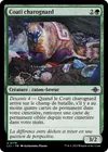 Product image for Coati charognard