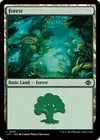 Product image for Forest