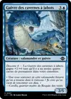 Product image for Guivre des cavernes à jabots