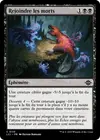 Product image for Rejoindre les morts
