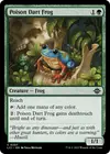 Product image for Poison Dart Frog