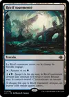 Product image for Récif tourmenté