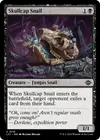 Product image for Skullcap Snail