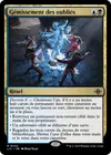 Product image for Gémissement des oubliés