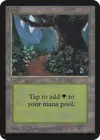 Product image for Forêt