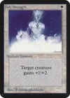 Product image for Holy Strength
