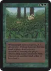 Product image for Kudzu