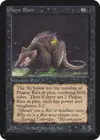 Product image for Rats de la peste