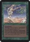 Product image for Shanodin Dryads