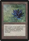 Product image for Black Lotus
