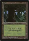 Product image for Forêt