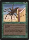 Product image for Araignée géante