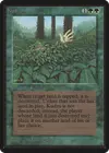 Product image for Kudzu