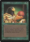 Product image for Natural Selection