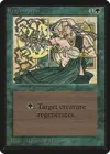 Product image for Régénération