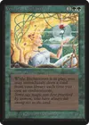 Product image for Enchanteresse verduralde